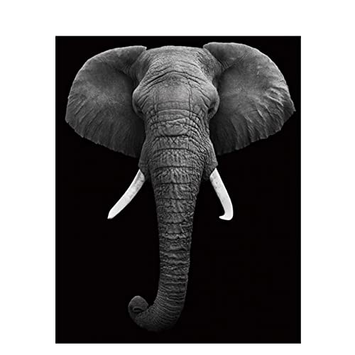 Peinture au diamant 5D pour créer une décoration zen éléphant noir et blanc au bureau