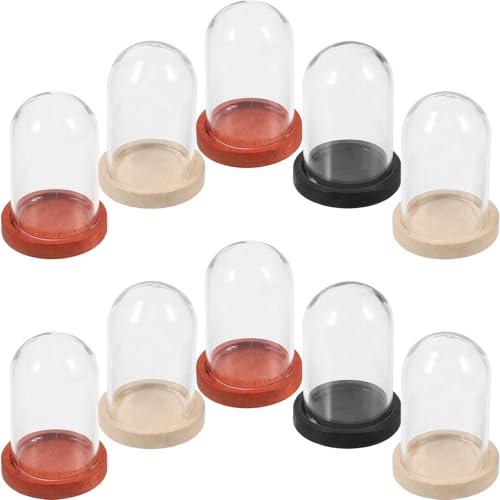 Beavorty 10 Cúpulas de Cristal Miniatura