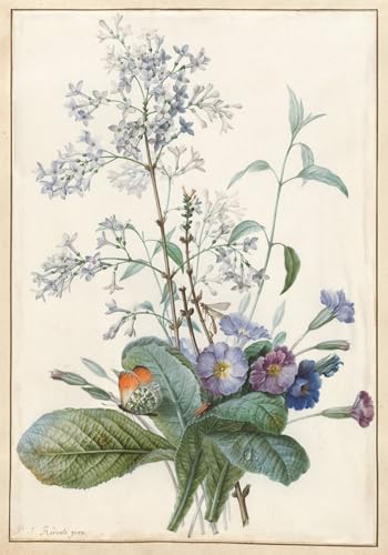 Un bouquet de fleurs de Pierre Redouté SERENDIPITP, tableau toile romantique pour la maison