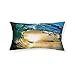 2 Pezzi Fodere per Cuscino Paesaggio Oceano Mare Fodere Cuscino Tramonto Spiaggia Alba Cocco Blu Cielo Fodere Cuscino in Microfibra (Stile 3,50x90 cm)