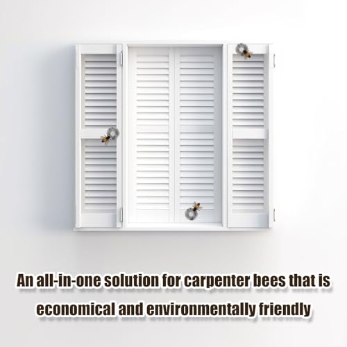 Image of 50pcs Carpenter Bee Hole Plugs, Stainless Steel Tapered Carpenter Bee Hole Cork Fix Covers with Metal Install Tool Repair Kit Carpenter Bee Filler for Porches Fences Wood Structures
