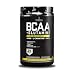 Sascha Fitness BCAA 4:1:1 + Glutamine,HMB,L-Carnitine, HICA | Powerful and Instant Powder Blend with Branched Chain Amino Acids (BCAAs) for Pre, Intra and Post-Workout | Natural Pineapple Flavor,350g