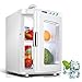 Lunch Box Frigo di Risparmio di Energia Portatile per Auto Frigorifero 25L Funzione di Riscaldamento Mini Controllo di Temperatura A Basso Consumo per La Casa di Viaggio di Campeggio AC/DC