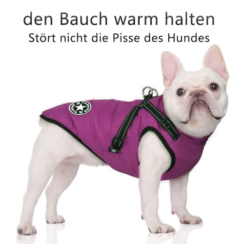 Voarge Hundejacke Winterweste Jacken, Hundemantel mit Geschirr für Kleine Hunde Hundemantel Wasserdicht Maschinen Waschbarer Reflektierender Streifen Design Haltbarer D-Ring (Lila, M)
