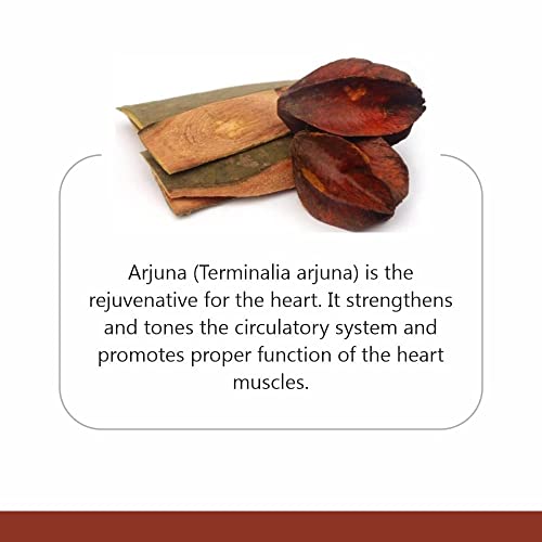 Image of Arjun Chaal Whole Bark | Arjuna Tree Bark for Kadha, Herbal Tea & Ayurvedic Decoctions | Rich in Calcium, Magnesium, Zinc | 100% Pure & Natural - No Additives | For Men & Women| | 1KG (200gm, pack of 5)