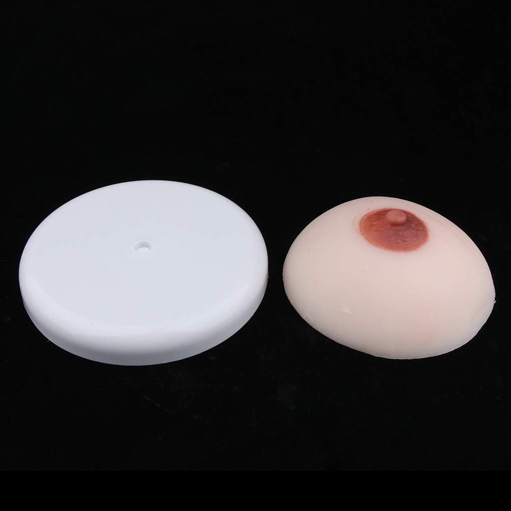 Female Breast Model for Nursing Training Mother Lactogenic Training Lactation Teaching Tools 14.5x6cm