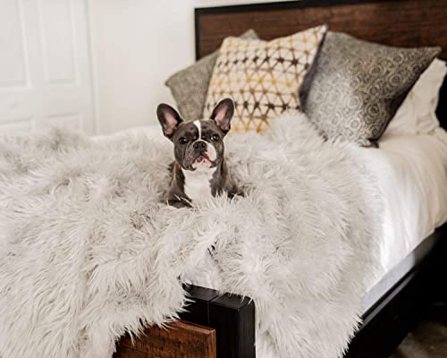 Paw Brands Pupprotector Waterproof Dog Blanket - Soft Plush Throw Protects Bed, Couch, Or Car From Spills, Stains, Scratching, Or Pet Fur - Machine Washable (White) #TOP25