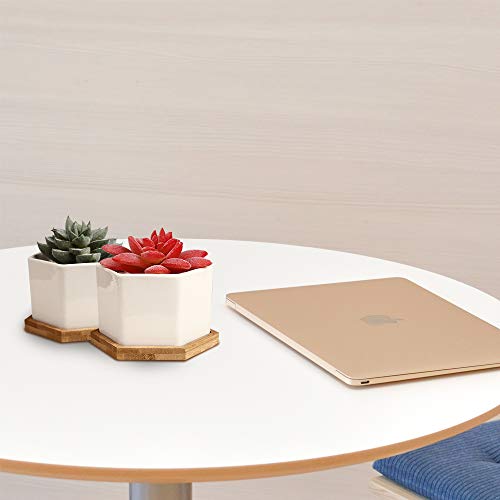 Oamceg 4 Pack Succulent Plant Pots 4 Inch Succulent Planters, Set Of 4 White Ceramic Succulent Cactus Plant Pots With Bamboo Tray(Plants Not Included) #TOP4