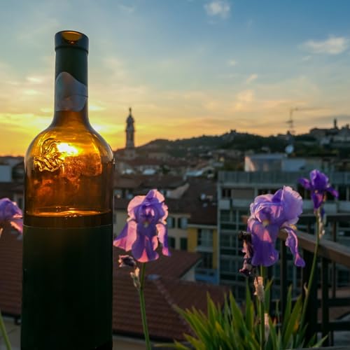 Celebrating the Wines of the World this Olympic Season!