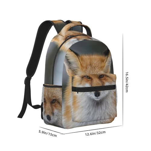 Sac à dos ordinateur portable EdWal Fox avec compartiment matelassé noir et léger