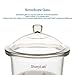 stonylab Glass Desiccator, Lab Desiccator with Knob Cover and Porcelain Plate ID: 7.1 Inch for Laboratory Research