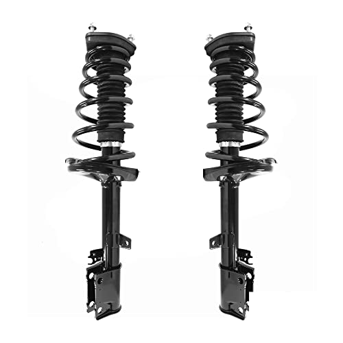 COMPLETESTRUTS - Rear Quick Complete Strut Assemblies with Coil Springs