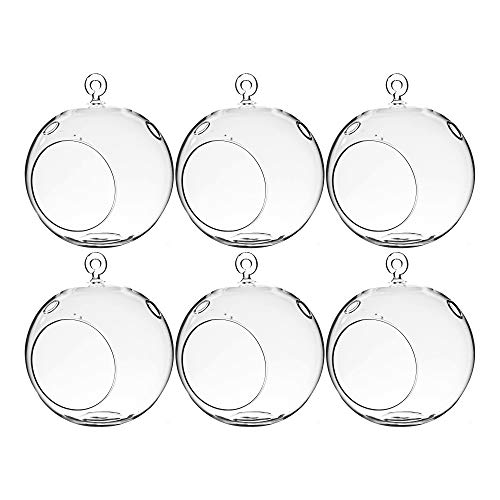 WGV Hanging Terrarium Globe, Width 6", Height 6.5", DIY Air