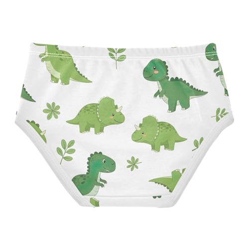 Bright Toddler Underwear Floral 2t Cotton Little Girl Panties Cartoon Dinosaurs Leaves White Briefs Underpants2