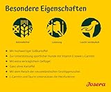 JOSERA Nature Energetic (1 x 12,5 kg) | getreidefreies Hundefutter ohne Kartoffeln |Super Premium Trockenfutter für ausgewachsene Hunde | 1er Pack