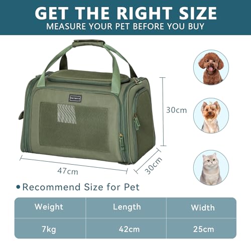Petsfit Transportbox Hund Katze Faltbar Hundetasche für kleine Hunde Katzen Tragetasche mit verstellbarem Schultergurt & weiches expandierbare Kissen, M/Olivgrün
