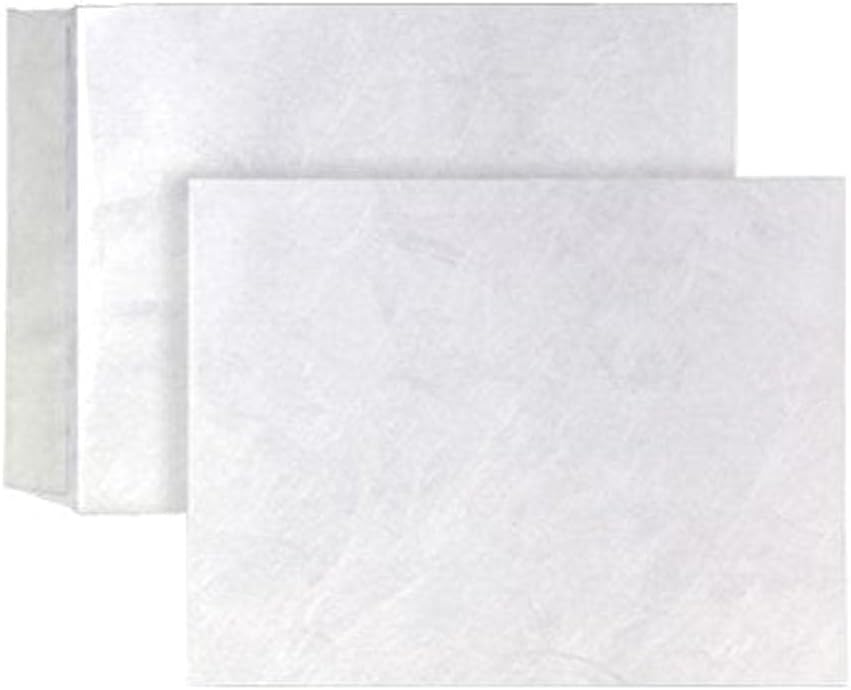 Tyvek Pocket Envelopes Strong Lightweight E4 H394xW305mm White Ref R1790 [Pack of 100]