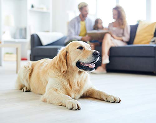 image for JINAMART High Stretch Water Resistance Couch Cover-One Piece Sofa Cove