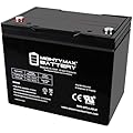 Mighty Max Battery ML75-12INT -12 Volt 75 AH, Internal Thread (INT) Terminal, Rechargeable SLA AGM Battery