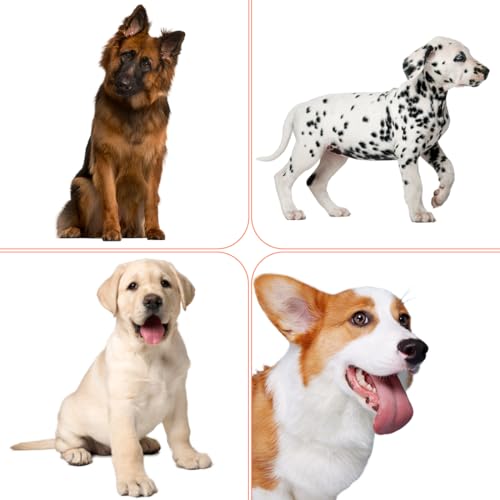 Hundezahnbürste Fingerling Wiederverwendbar, Haustierzahnbürste aus Strickgewebe，Pet Finger Zahnbürste, Anti-Plaque Finger Hund, Effiziente und Saubere Fingerlinge Hunde Zahnpflege（20 Stück）