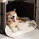 BEDSURE wasserdichte Hundedecke - 76x102 cm Hundedecke waschbar für mittelgroße Hunde, Haustier Decke flauschig und weich, Schutzdecke Hundesofa, Decke für Hunde, Creme