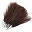 Pampas Grass Stem / Coffee 28 Pcs