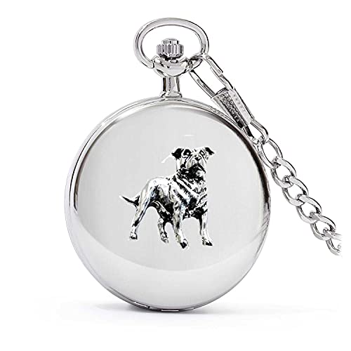 Montre de poche D17 Staff Bull Terrier pour costume de mariage ou soirée