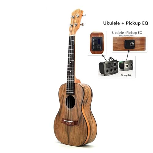 �v���̃E�N���� 23 �C���`�R���T�[�g�E�N�����E�H�[���i�b�g�f�ރn���C���s�~�j�M�^�[�E�N�����G���N�g���b�N�E�N�����s�b�N�A�b�v�C�R���C�U�[(B)