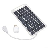SiSinkal Cargador de panel solar portátil de 5 W 5 V para dispositivos USB, panel fotovoltaico de polisilicio, ultrafino, para viajes al aire libre, camping y fuente de alimentación (blanco)