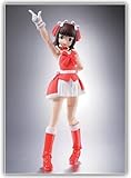 HJ Limited Edition Fraulein Revoltech THE Idol Master Amami Haruka 