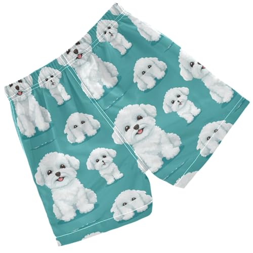 Pigsaly Boys' Swim Board Shorts White Bichon Frize Dog Boy's Swim Trunks Kids Swimwear XS2