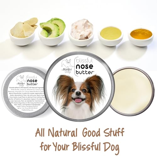 Image of The Blissful Dog Papillon Unscented Nose Butter - Dog Nose Butter, 4 Ounce