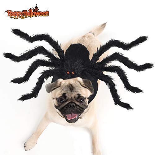49 Best dog spider costume 2022 After 193 hours of research and testing.