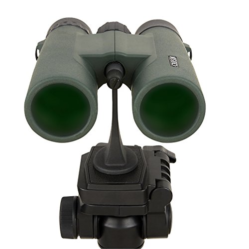 Carson Jr Series 10X42Mm Full Sized Waterproof Binoculars For Bird Watching, Hunting, Sight-Seeing, Surveillance, Concerts, Sporting Events, Safaris, Camping, Travel And Outdoor Adventures, Green #TOP5