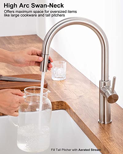Darnok 79723Ss Mia Kitchen Sink Faucet With Pull Down Sprayer, Stainless Steel #TOP2