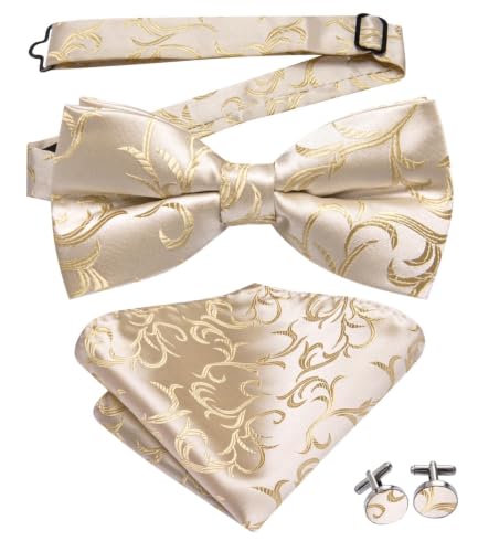 Image of Dubulle Mens Paisley Striped Bowtie Set Pre-tied Bowtie for Men and Pocket Square Set Wedding Business