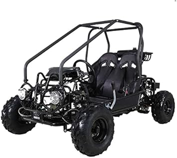 HHH Gokart GK110 Upgraded 125cc Go Kart Gas Fully Automtatic with Reverse Youth Kids 2 Seater 125cc Kart Black Color