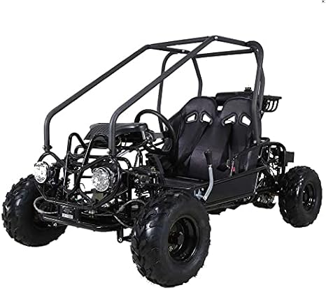 HHH Gokart GK125 is a125CC Fully Automatic Gas 2 Seater Kandi Mini Raptor Gokart with Reverse for Youth (Blue)