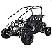 HHH Gokart 125cc go Kart Kandi Raptor 125cc Gokart Fully Automatic LED Lights and Reverse Youth Kids 2 Seater Gokart (Black)