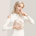 Larcenciel Women's Evening Handbags, Elegant Tassel Satin Clutch Purses for Bridal Wedding Guest Cocktail Dressy Prom Party