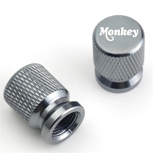 Capuchon de valve de pneu moto Honda Monkey 125 gris en alu de 2018 à 2026