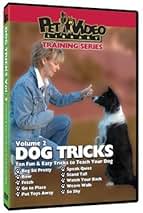 ドギーグルーミング教材DVD ドギーグルーミング教材DVD Amazon.com: Dog Grooming Dvd