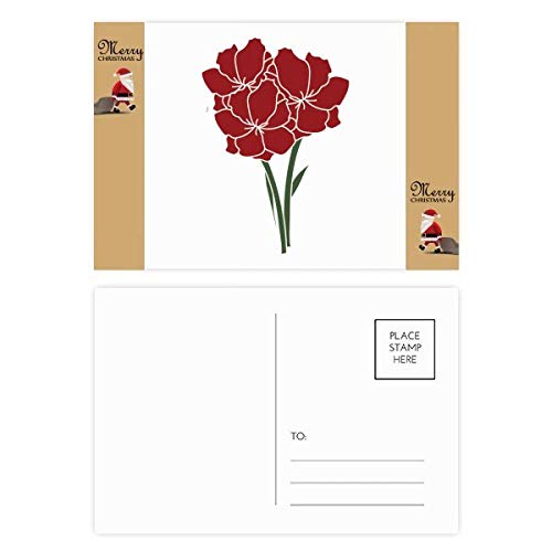 Cartes postales motif feuilles à offrir et partager en lot de 20