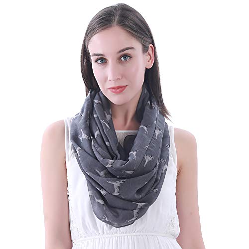 Border Terrier Dog Print Women's Infinity Scarf Lightweight