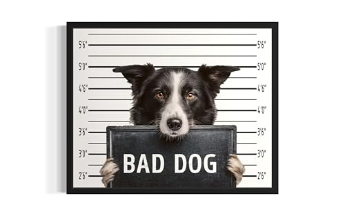 Image of aj decor Border Collie Mugshot Wall Art Print Poster, Dog Pet Lover Picture Painting Artwork Bedroom Living Room Office Dining Room 150D (Border Collie Mugshot, 16 x 20 inches, Black Frame)