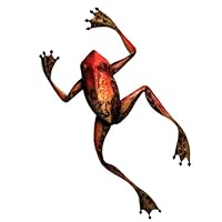 Algopix Similar Product 8 - Eangee m412022 Wall Frog Metal Art
