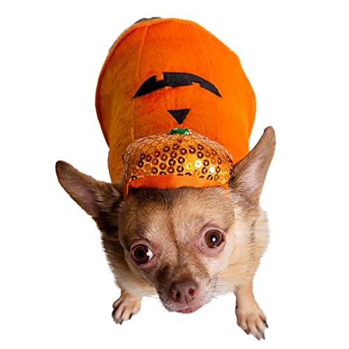 Disfraz de Calabaza para Perro Pequeño PET KREWE miniatura 2