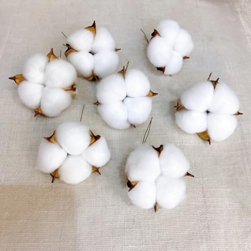 10 piezas de algodón seco artificial para decoración y manualidades miniatura 4