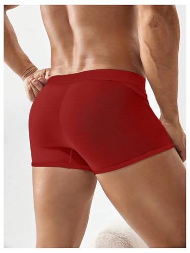 OYOANGLE Men's Mesh Sheer Mid Rise Boxer Briefs Solid Comfy Soft Trunks Underwear2