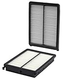 Replacement Air Filter (Number 28113A9100) Mechanics Choice for Hyundai